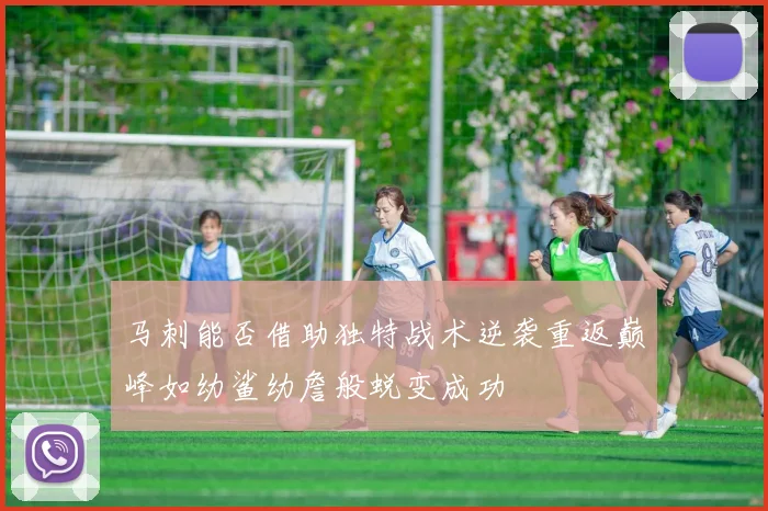 马刺能否借助独特战术逆袭重返巅峰如幼鲨幼詹般蜕变成功