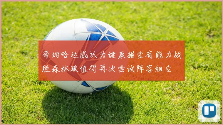 蒂姆哈达威认为健康掘金有能力战胜森林狼值得再次尝试阵容组合