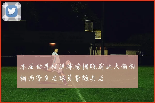本届世界杯进球榜揭晓翁达夫领衔梅西等多名球员紧随其后